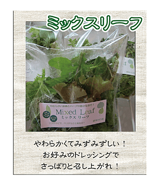 ミックスリーフ