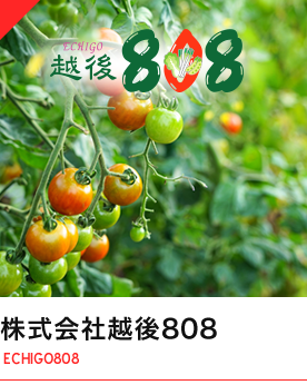 株式会社越後808